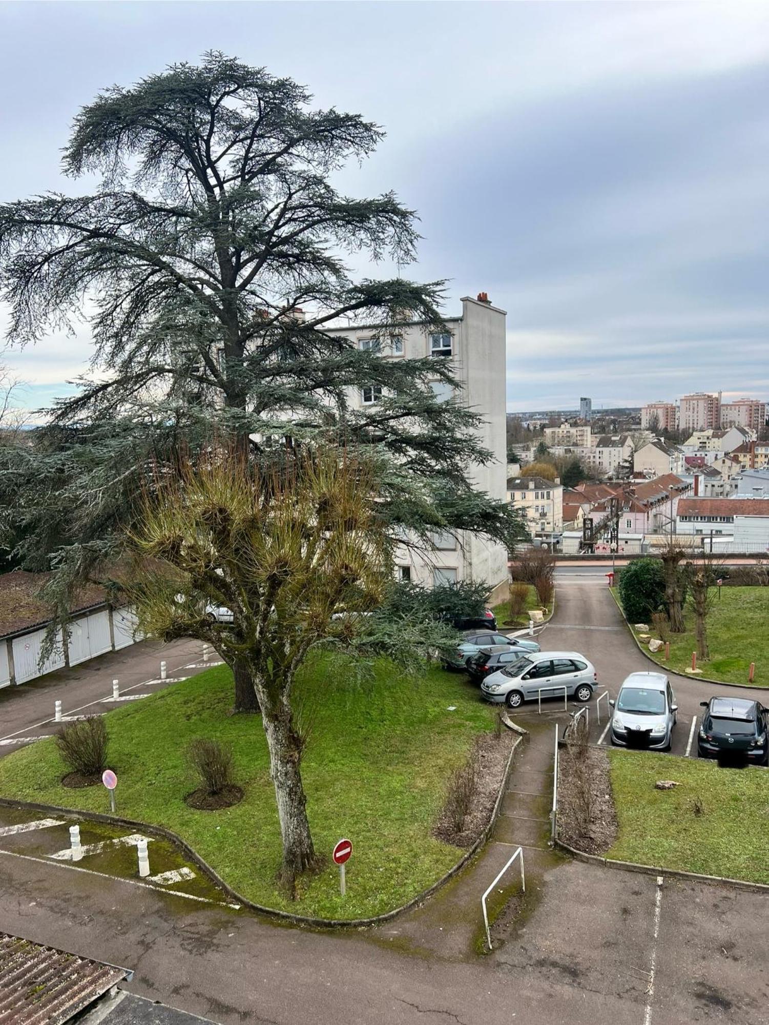 Apartament Le Bellevue - T3 - Gare & Les Jardins Darcy - Parking Free Dijon Zewnętrze zdjęcie